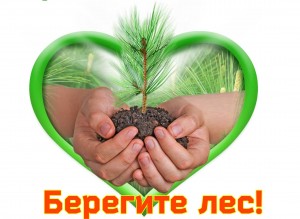 Эко Акция «Берегите лес!». Викторина «Полна загадок, чудесница природа»