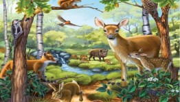 Игра–путешествие «Кто в лесу живёт, что в лесу растёт»