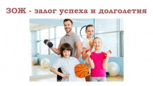 Живи здорово