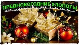 «Наша безопасность. Предновогодние хлопоты»