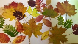 Мастер-класс по изготовлению букетов. « Листопад»