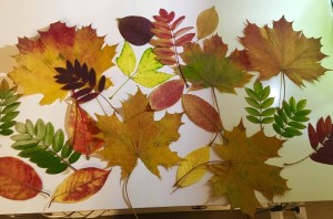 Мастер-класс по изготовлению букетов. « Листопад»