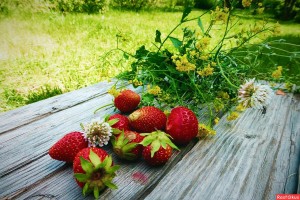 Конкурс рисунков«Лето-это маленькая жизнь»