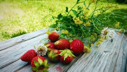 Конкурс рисунков«Лето-это маленькая жизнь»