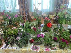 «Цветы для души»