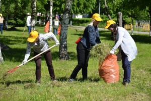 Акция трудовой десант «Весёлые чистюли»