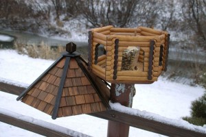 Мастер–класс «Кормушка для птиц»