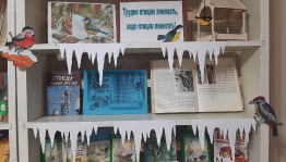 Литературный час«Трудно птицам зимовать, надо птицам помогать»
