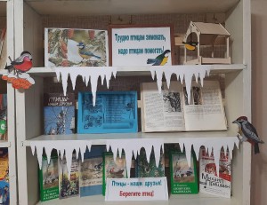 Литературный час«Трудно птицам зимовать, надо птицам помогать»