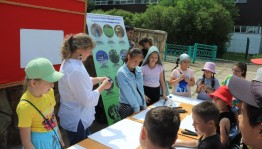 Информационно-просветительская программа «Мой край родной – моя история живая»