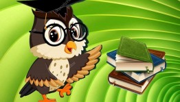 Интеллектуальная игра «Знатоки литературы»