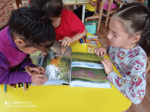 Громкие чтения «Мои любимые сказки»