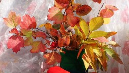 Мастер класс«Букет для учителя»