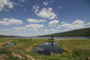 Выставка «Кадр длиною в жизнь»