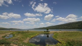 Выставка «Кадр длиною в жизнь»