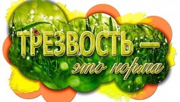 Информационная программа «Трезвость норма жизни ».