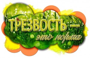 Информационная программа «Трезвость норма жизни ».