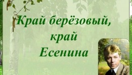 Литературный час«Край берёзовый,край Есенина»