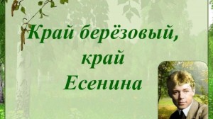 Литературный час«Край берёзовый,край Есенина»