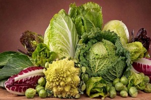 «Капуста-барыня огорода!»