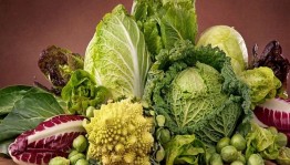 «Капуста-барыня огорода!»