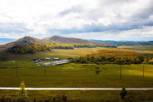 Цветочный рай Башкортостана: шедевры на сцене
