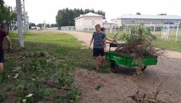 Акция«Чистый четверг»