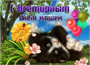 Викторина «Мой домашний дружок»
