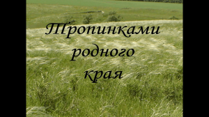 Экскурсия на природу «Тропинками родного края»