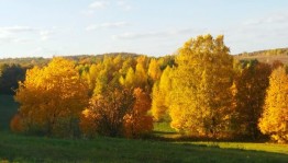 Конкурс рисунков«Яркие краски осени»