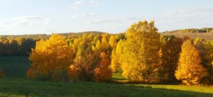 Конкурс рисунков«Яркие краски осени»