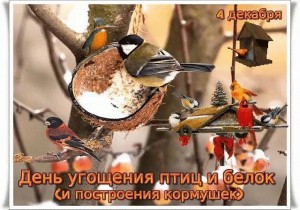 Экологическая акция «День угощения птиц и белок»