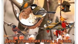 Экологическая акция «День угощения птиц и белок»