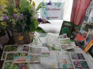 Книжная выставка «Целебное лукошко»
