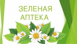 Познавательный час «Зеленая аптека»