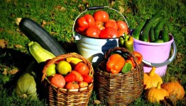 Викторина« Осенний урожай»