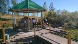 Экскурсия «Родные просторы»