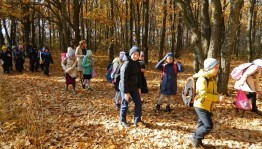 Экскурсия «Удивительный мир природы»