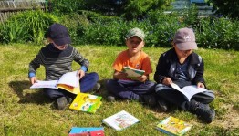 Игровая программа «Загадки на библиотечном лугу на каждом шагу»