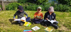 Игровая программа «Загадки на библиотечном лугу на каждом шагу»