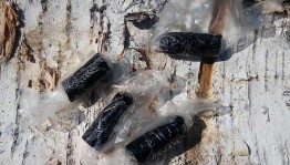 Исследовательский час «Жвачка из бересты»