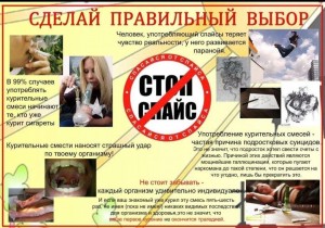 «Выбор за тобой»