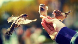 Час дружбы.