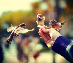 Час дружбы.