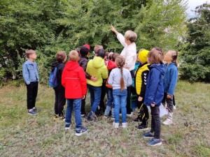 Экскурсия на природу «В гостях у лета»