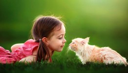 Познавательная программа «Мой пушистый друг»