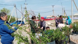 Экологическая викторина «Люби все живое»