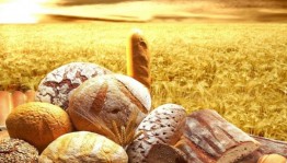 Праздник хлеба «Чудо земли – хлеб!»