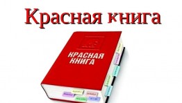 Экологический круиз «Красная книга, зона тревоги»