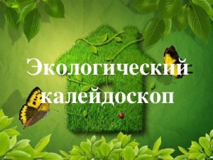 Брейн-ринг «Экологический калейдоскоп»